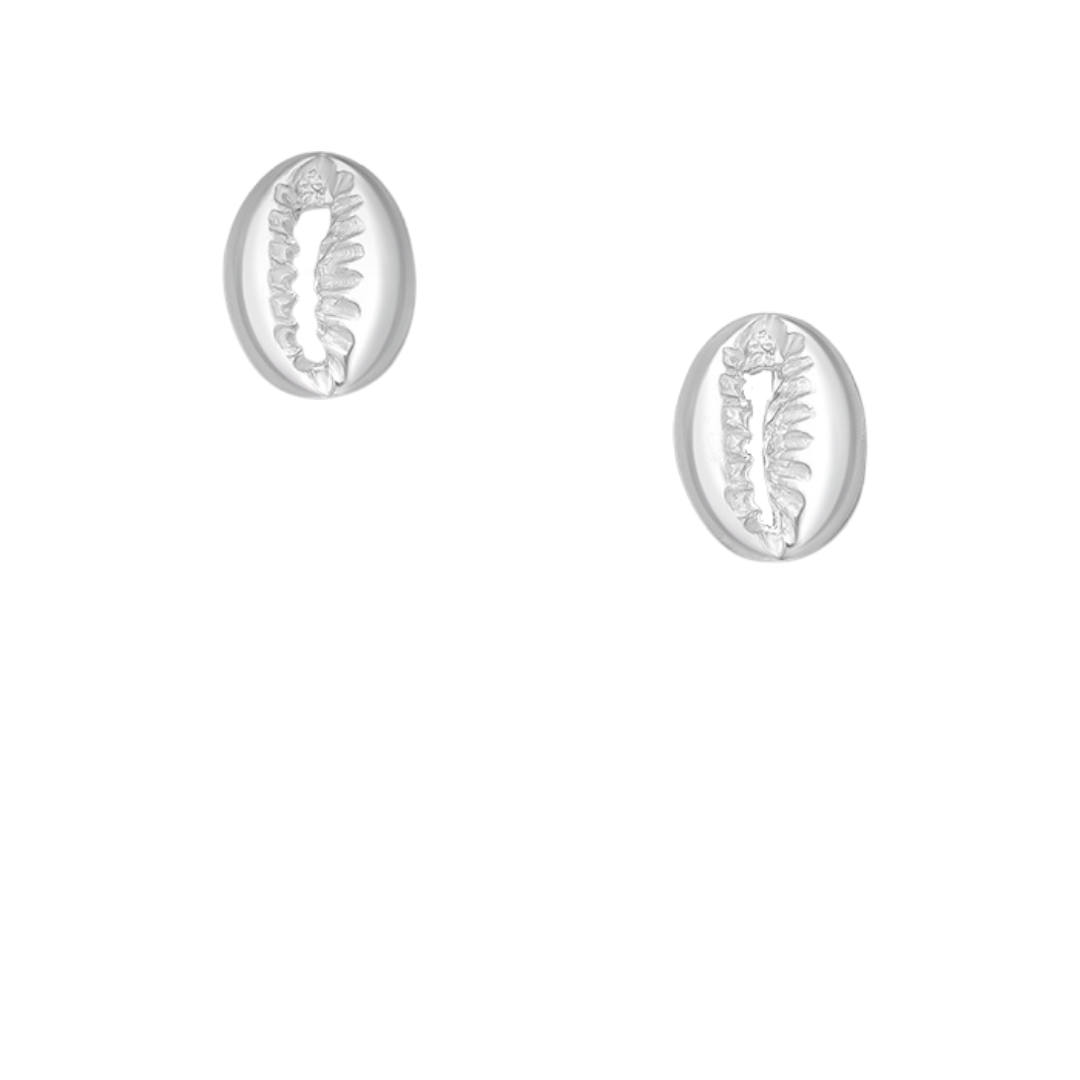 Cowrie Silver Stud Earrings