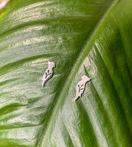 Cockatoo Stud Earrings